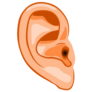 Human Ear Illustration Sticker