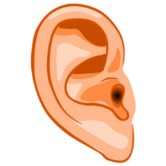 Human Ear Illustration Sticker