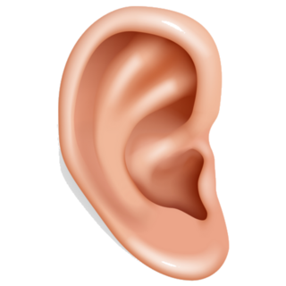 Human Ear Organ Hearing Health Care Closeup Sticker