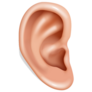 Human Ear Organ Hearing Health Care Closeup Sticker