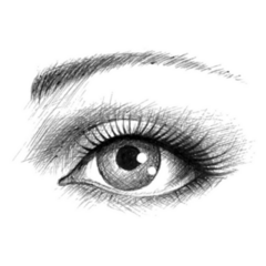 Human Eye Female Illustration Sticker