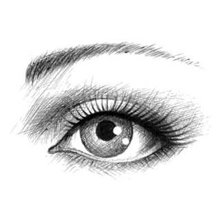Human Eye Female Illustration Sticker