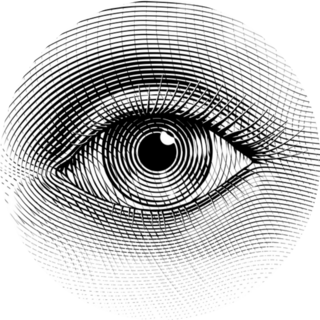 Human Eye In Engraved Style Sticker