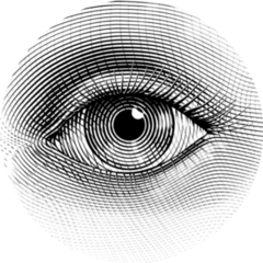 Human Eye In Engraved Style Sticker