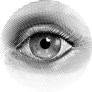 Human Eye In Engraved Style Sticker