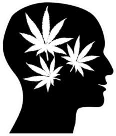 Human Head With Marijuana Leaves Sticker