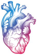 Human Heart In Engraving Technique Blurple Gradient Sticker