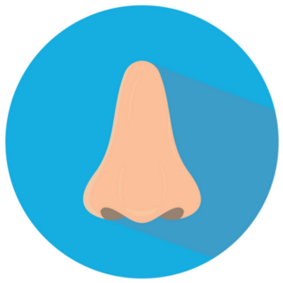 Human Nose Flat Blue Sticker 