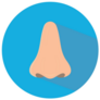 Human Nose Flat Blue Sticker 