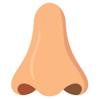 Human Nose In Front Human Organs Sticker 