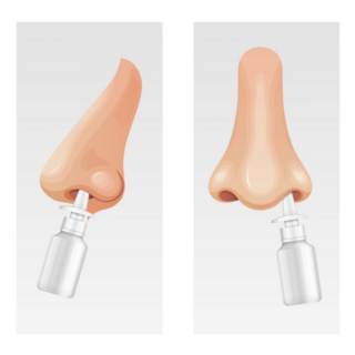 Human Nose - Nasal Spray Sticker
