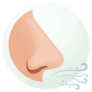 Human Nose - Smell And Breathe Sticker 