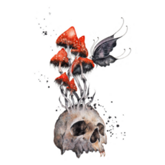 Human Skull With Poisonous Mushroom Watercolor Sticker