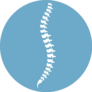 Human Spine Anatomy Chiropractor On Blue Sticker