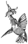 Hummingbird And Flower, Hand Drawing Illustration Sticker