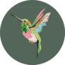 Hummingbird In Embroidery And Sequins Sticker