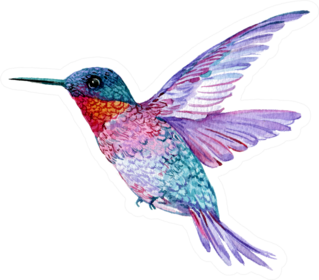 Hummingbird In Flight Bright Watercolor Illustration Sticker