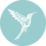 Hummingbird In Luxuary Ornament Style Sticker