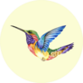 Hummingbird Tattoo Watercolor Painting Sticker