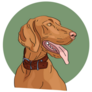 Hungarian Vizsla Green Sticker