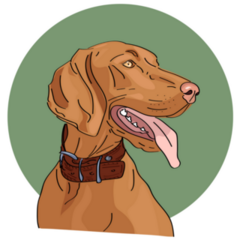 Hungarian Vizsla Green Sticker