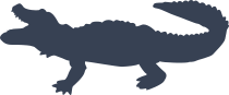 Hungry Alligator Crocodile Sticker