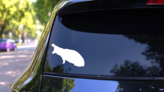 Hungry Hippopotamus Sticker on a Rear Car Window (New) example
