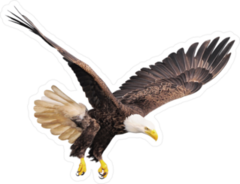 Hunting Bald Eagle Sticker