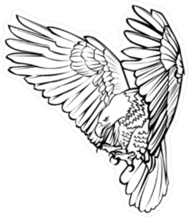 Hunting Eagle Line Art Sticker