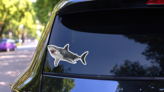 Hunting Great White Shark Sticker on a Rear Car Window (New) example