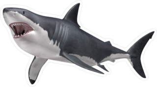 Hunting Great White Shark Sticker