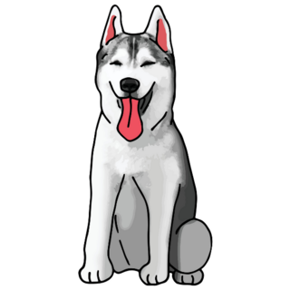 Husky Colored Drawing Sticker