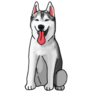Husky Colored Drawing Sticker
