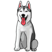 Husky Colored Drawing Sticker