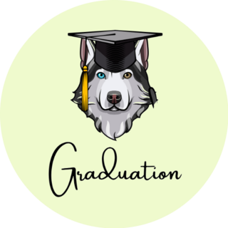 Husky Graduate Sticker