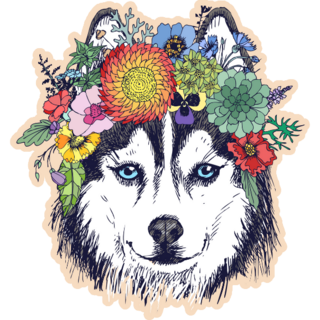 Husky Hippie Sticker
