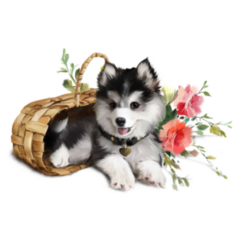 Husky In A Basket Sticker