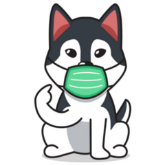 Husky In Mask Sticker