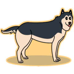 Husky On Yellow Sticker