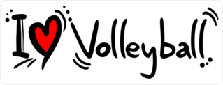 I Heart Volleyball Sticker
