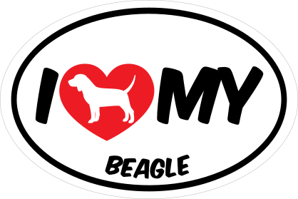 I Love My Beagle With Big Text Oval Sticker