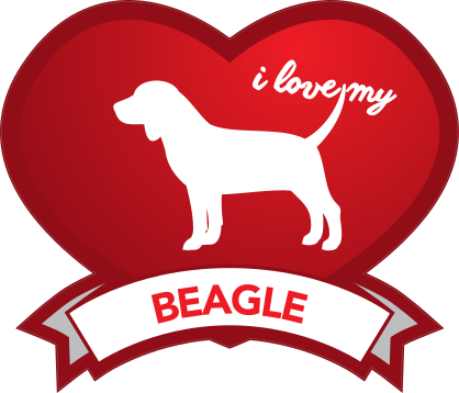 I Love My Beagle With Shaded Heart Sticker