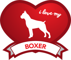 I Love My Boxer With Shaded Heart Sticker