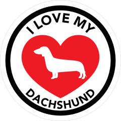 I Love My Dachshund With Big Heart Circle Sticker