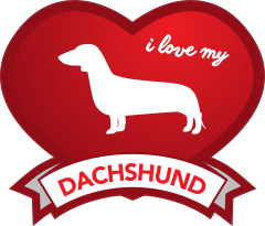 I Love My Dachshund With Shaded Heart Sticker