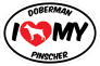 I Love My Doberman Pinscher With Big Text Oval Sticker