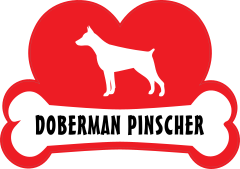 I Love My Doberman Pinscher With Dog Bone And Heart Sticker