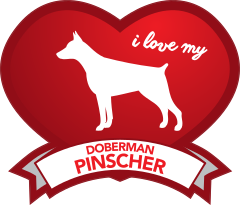 I Love My Doberman Pinscher With Shaded Heart Sticker