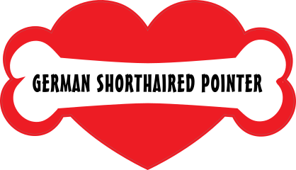 I Love My Dog With German Shorthaired Pointer Bone And Heart St