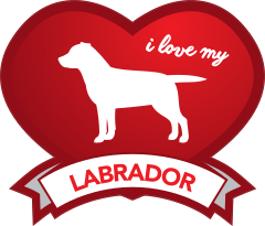I Love My Labrador With Shaded Heart Sticker